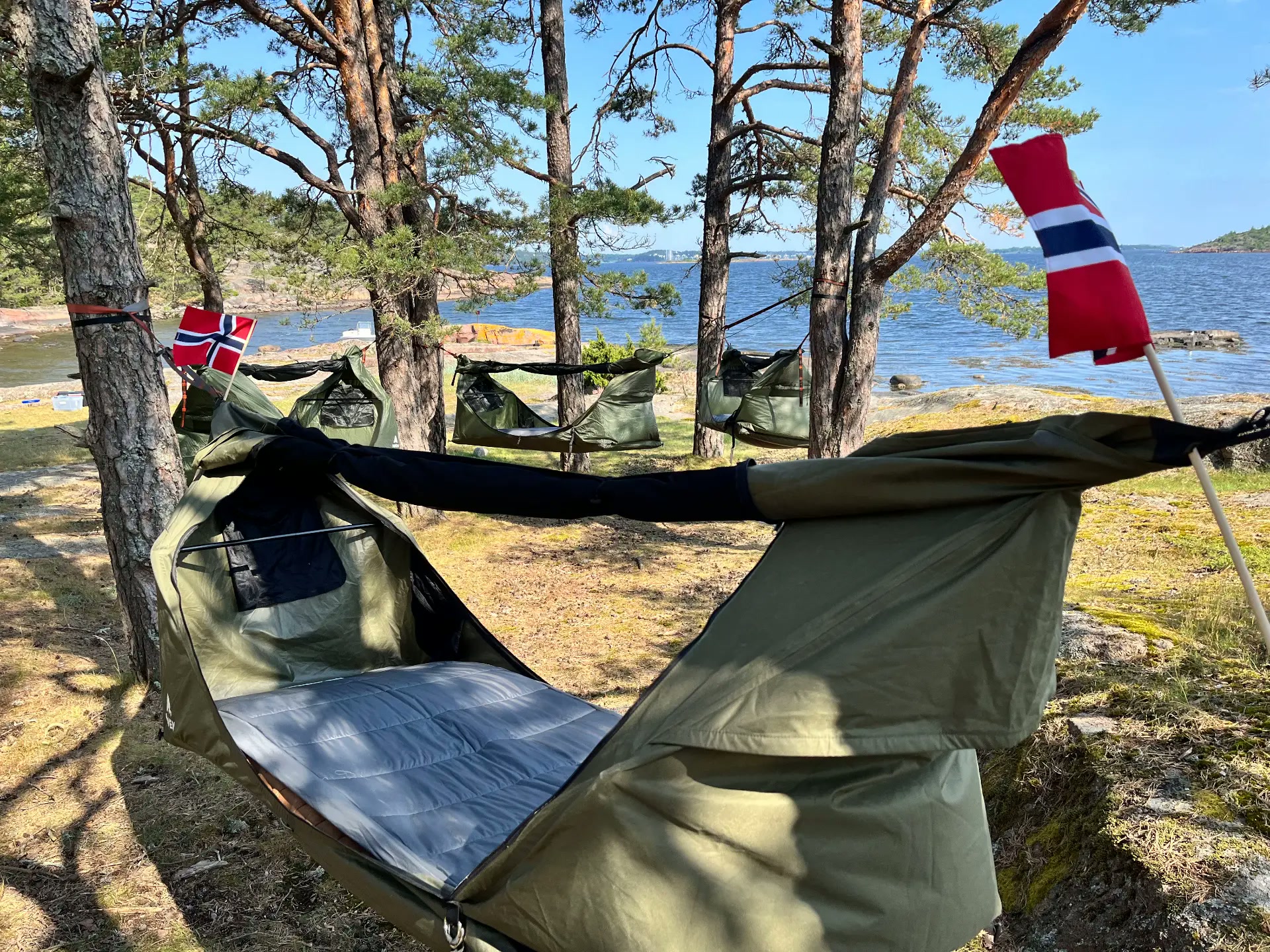 Hengekøyetelt i furuskogen ved sjøen på Nøtterøy